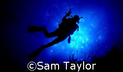 Diver OK, Natural light, Nikonos 5 & 28mm lens by Sam Taylor 